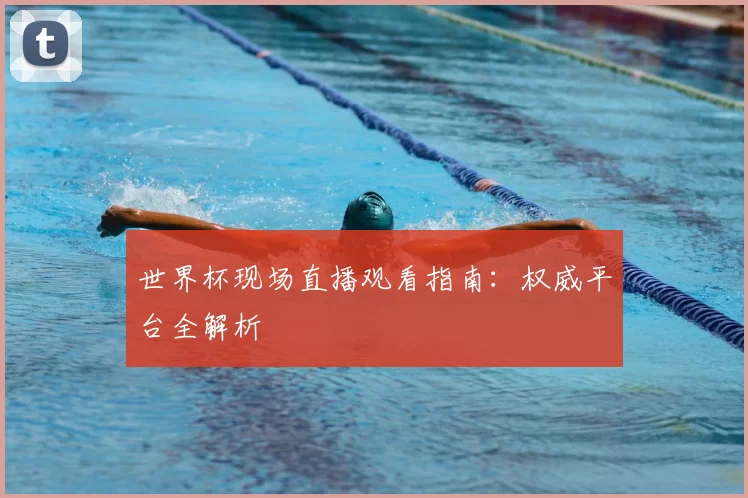 世界杯现场直播观看指南:权威平台全解析