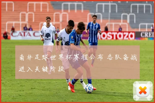 南非足球世界杯赛程公布 各队备战进入关键阶段