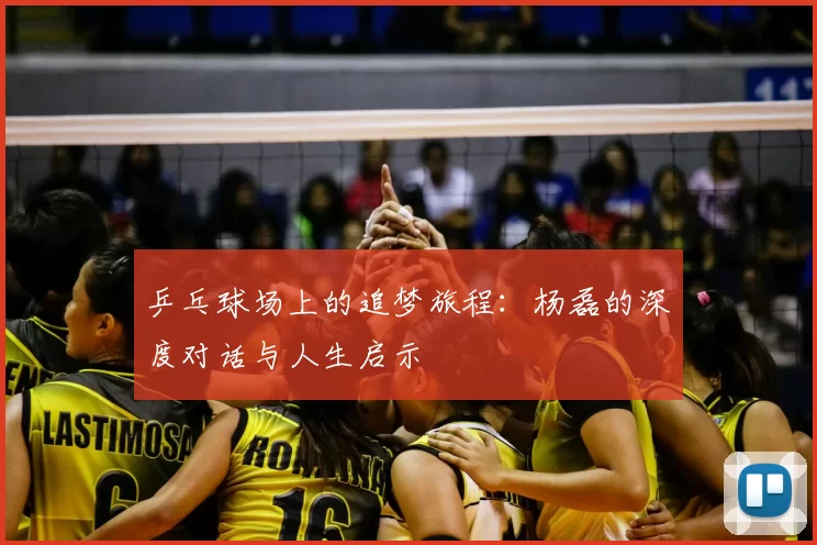 乒乓球场上的追梦旅程：杨磊的深度对话与人生启示
