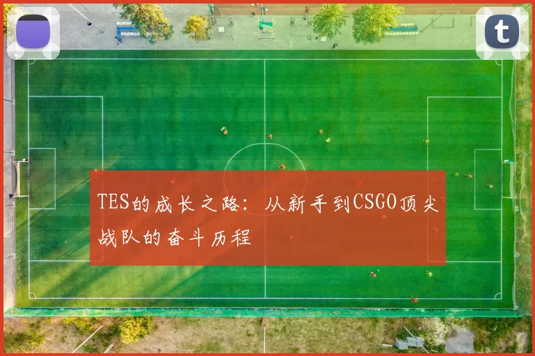 TES的成长之路:从新手到CSGO顶尖战队的奋斗历程
