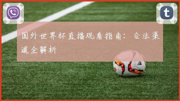 国外世界杯直播观看指南:合法渠道全解析
