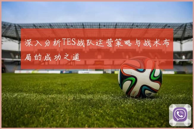 深入分析TES战队运营策略与战术布局的成功之道