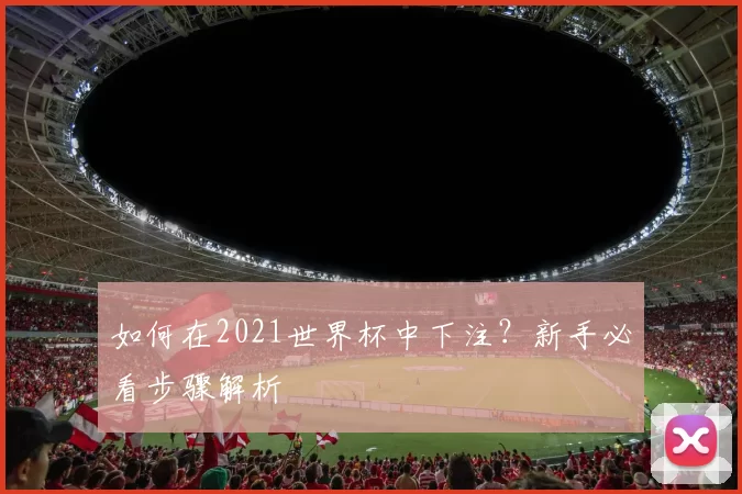 如何在2021世界杯中下注?新手必看步骤解析