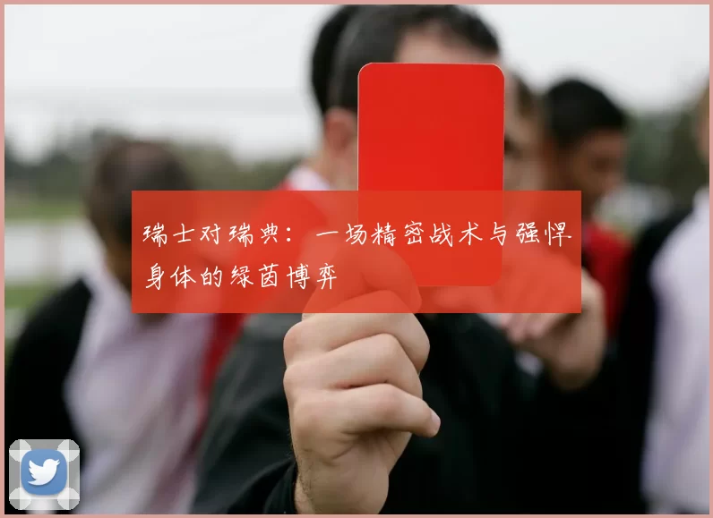 瑞士对瑞典:一场精密战术与强悍身体的绿茵博弈