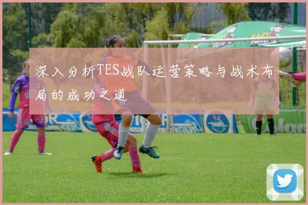 深入分析TES战队运营策略与战术布局的成功之道